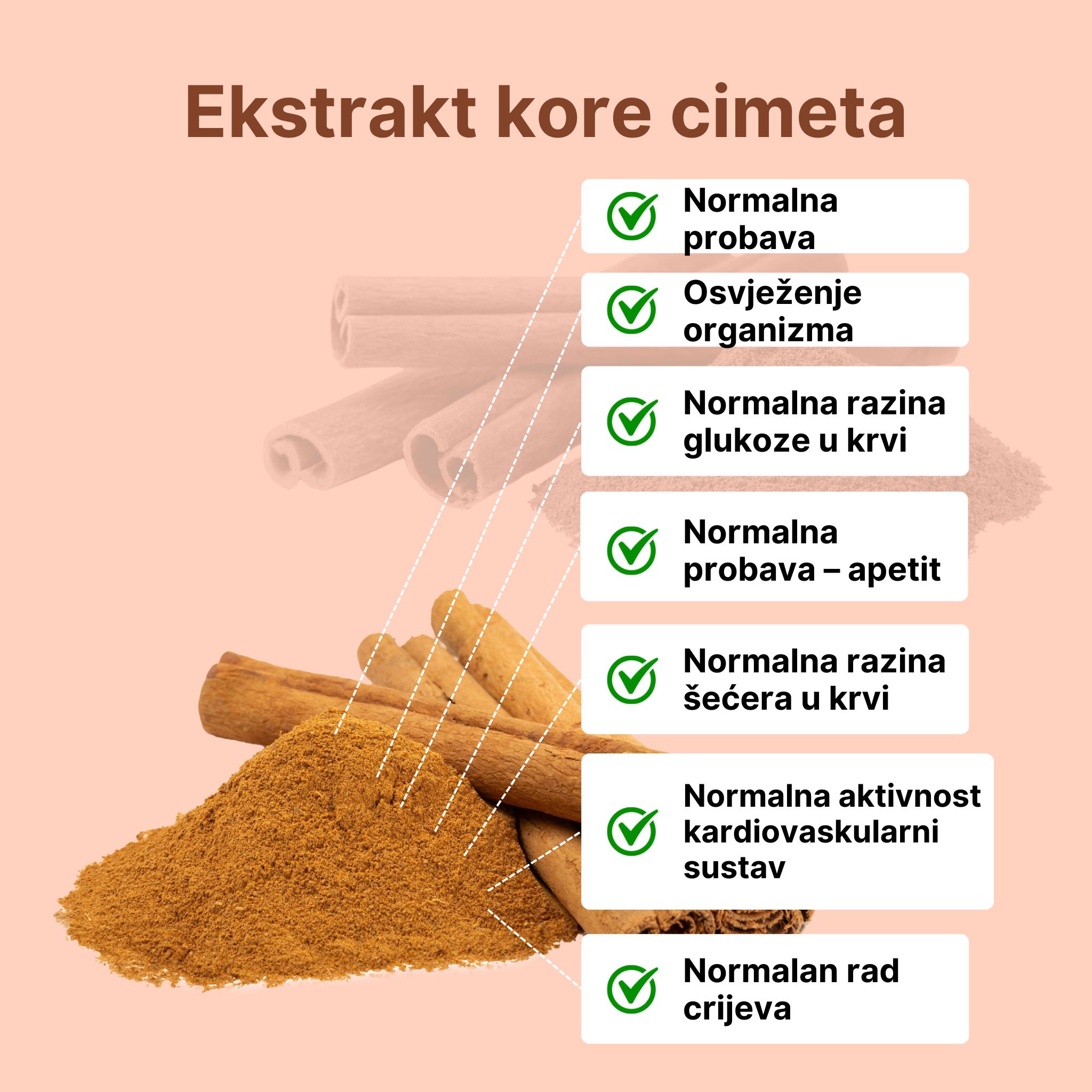 (Chorvatština) - 2024-10-30T132700.401